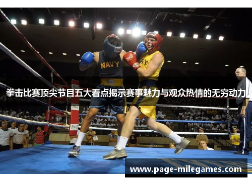 拳击比赛顶尖节目五大看点揭示赛事魅力与观众热情的无穷动力