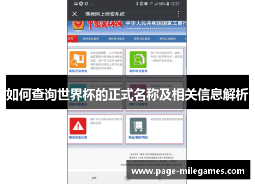 如何查询世界杯的正式名称及相关信息解析