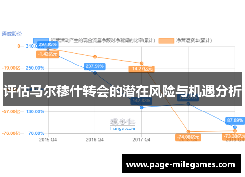 评估马尔穆什转会的潜在风险与机遇分析 评估马尔穆什转会的潜在风险与机遇分析