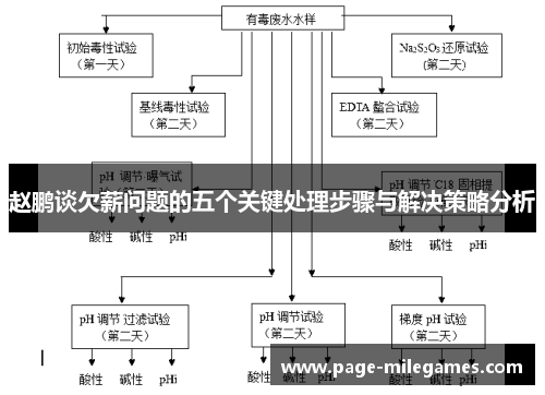 赵鹏谈欠薪问题的五个关键处理步骤与解决策略分析