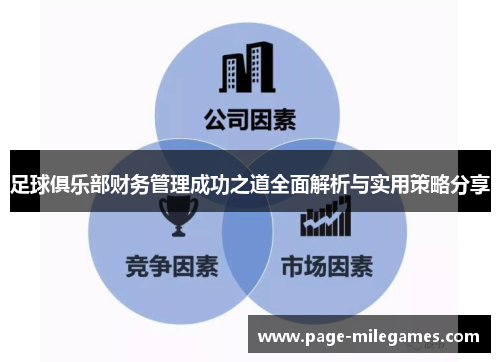 足球俱乐部财务管理成功之道全面解析与实用策略分享 足球俱乐部财务管理成功之道全面解析与实用策略分享
